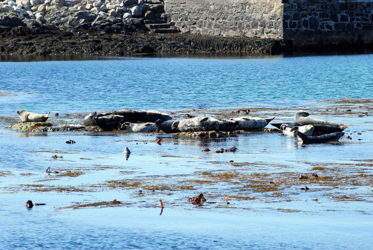 Orsay House Bed and Breakfast Portnahaven Εξωτερικό φωτογραφία